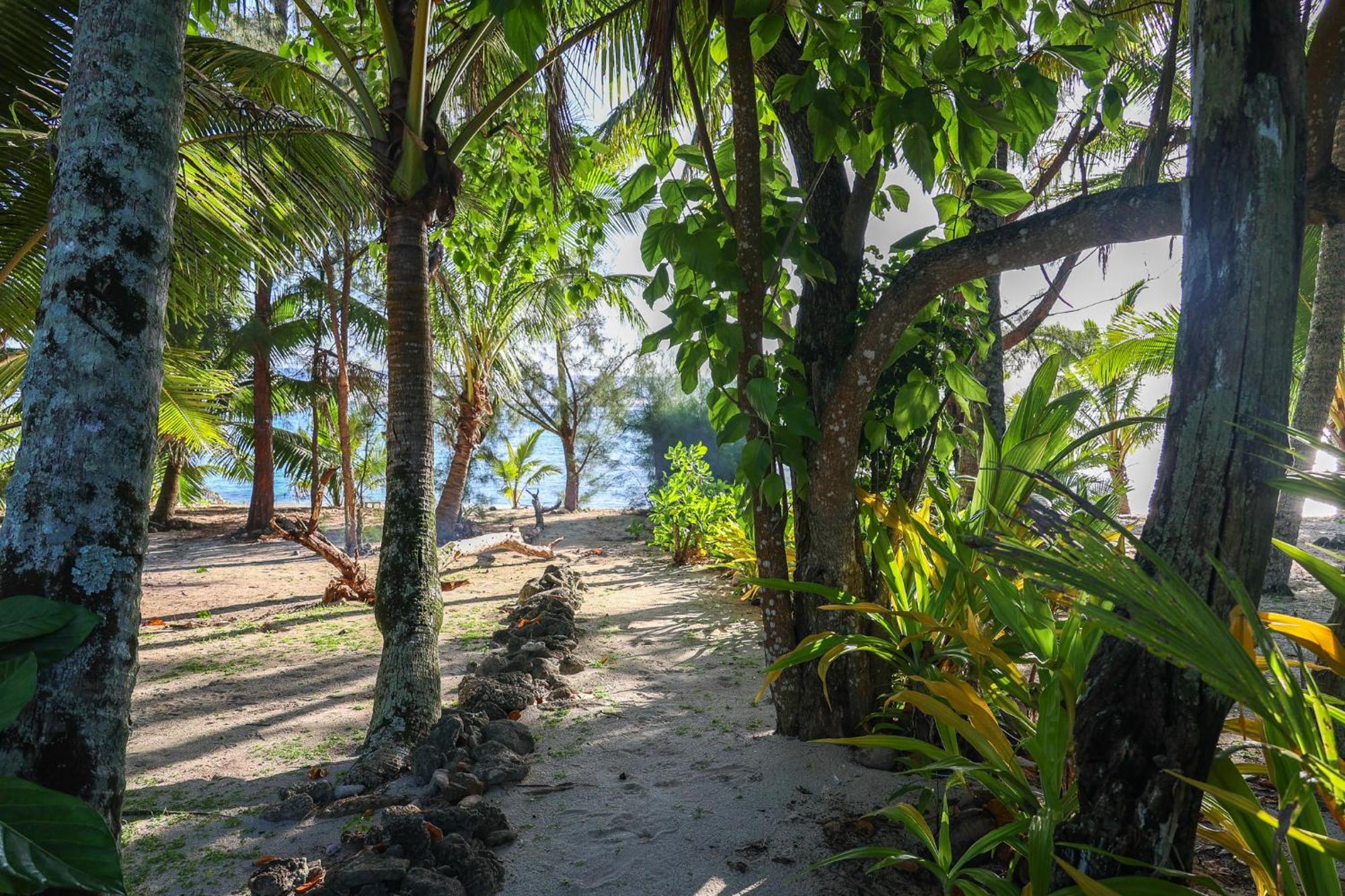 Inave Holidays Rarotonga Dış mekan fotoğraf